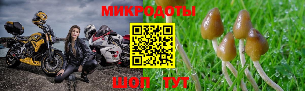Псилоцибиновые грибы Magic Shrooms  Вход с VPN  Галлюциногенные грибы ЛСД  Ейск 